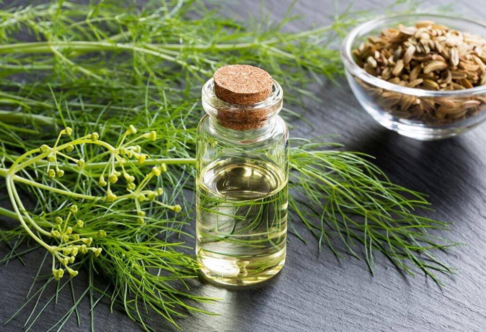 روغن شوید 1 روغن شوید
