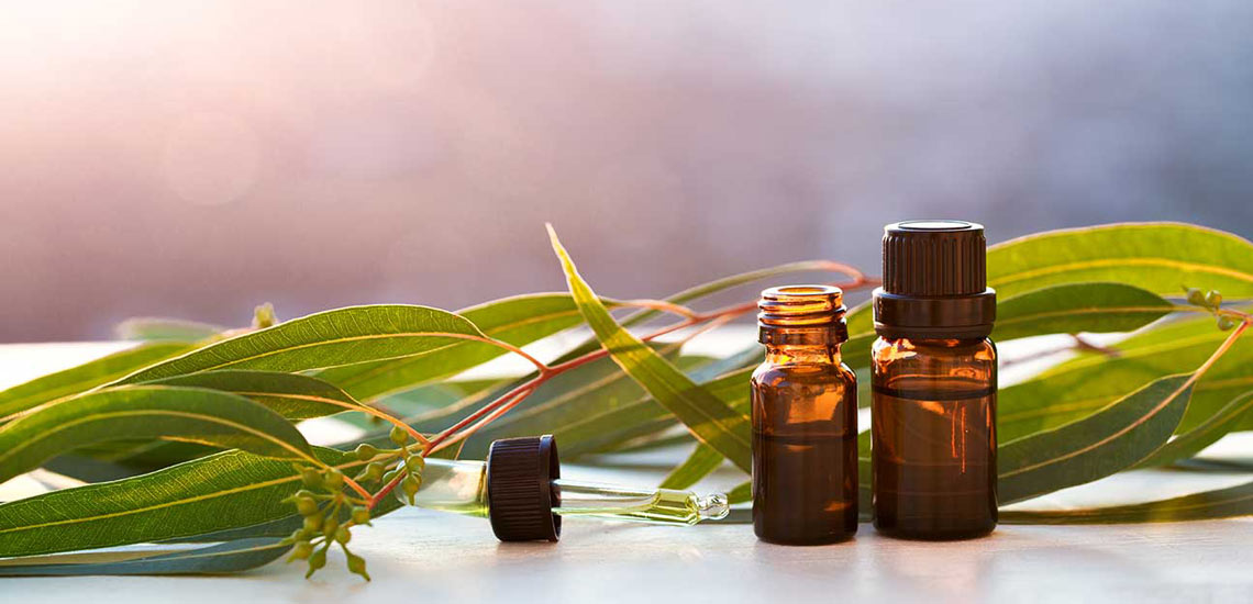 روغن درخت چای 4 روغن درخت چای