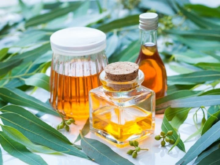 روغن اکالیپتوس 2 روغن اکالیپتوس