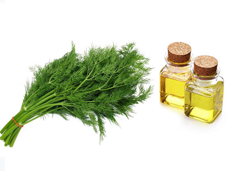 روغن شوید 3 روغن شوید