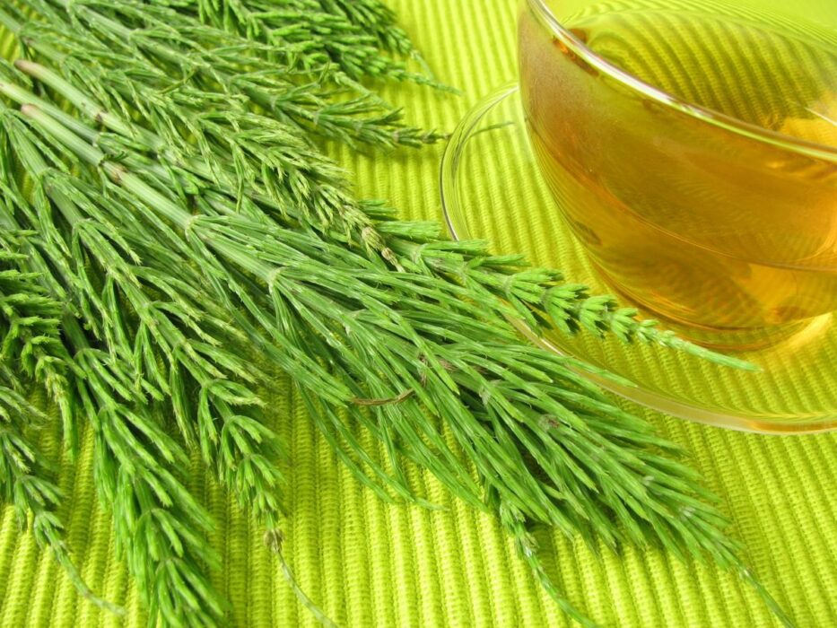 روغن دم اسب 5 روغن دم اسب