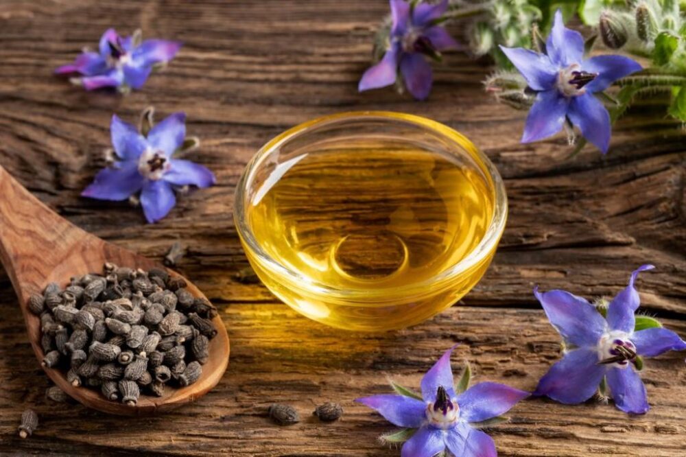 روغن گل گاوزبان 1 روغن گل گاوزبان