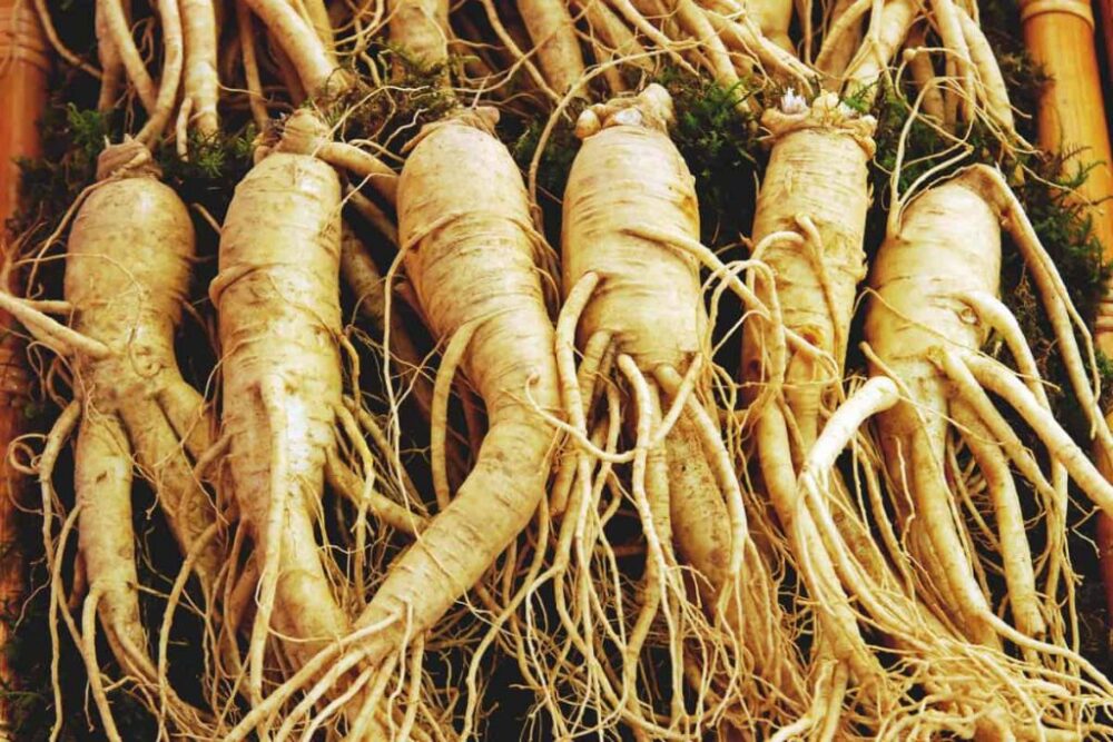 روغن جینسینگ 2 روغن جینسینگ