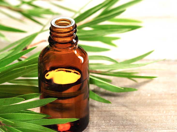 روغن درخت چای 7 روغن درخت چای