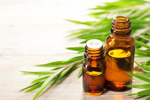روغن درخت چای 6 روغن درخت چای