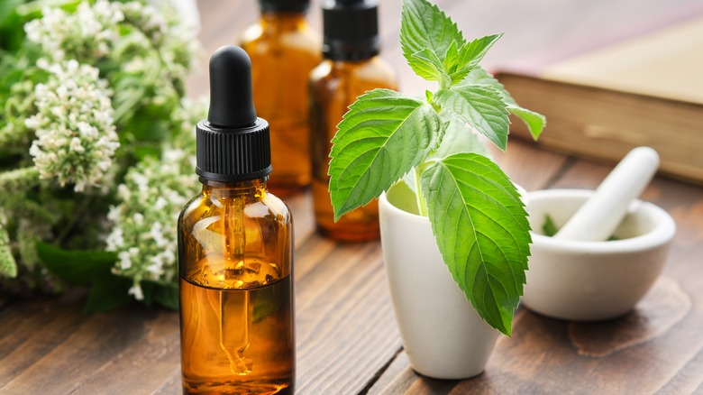 روغن نعناع 2 روغن نعناع
