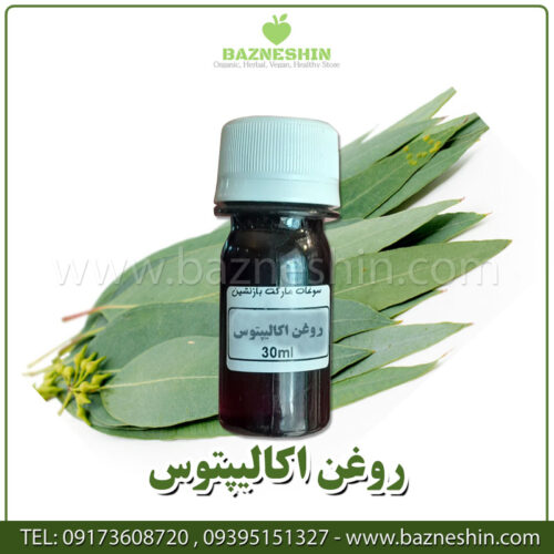 روغن اکالیپتوس