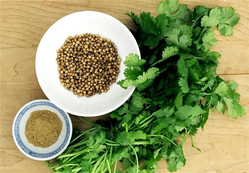 تخم گشنیز درجه یک صادراتی 10 تخم گشنیز