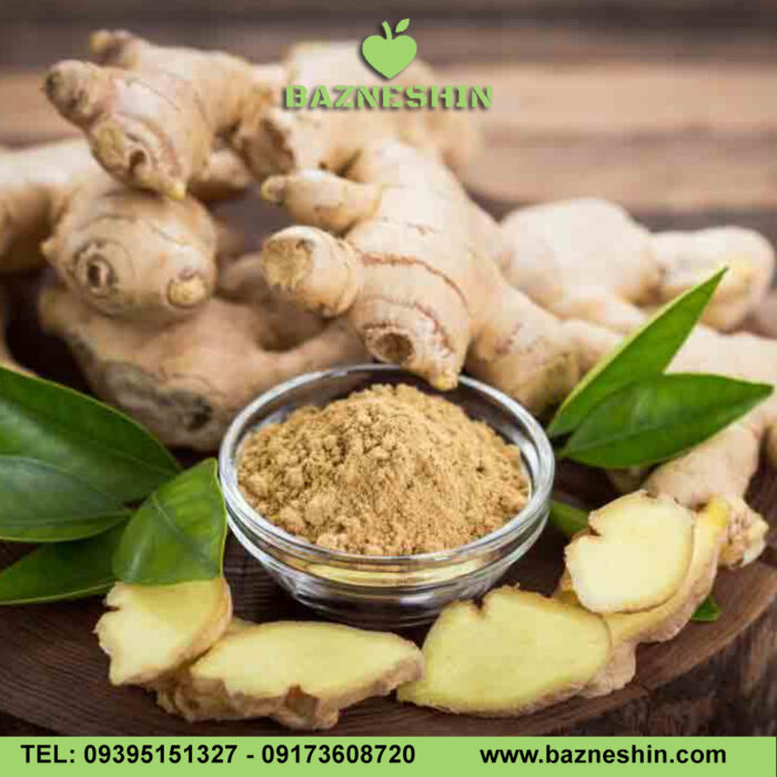 پودر زنجبیل درجه یک صادراتی 8 پودر زنجبیل