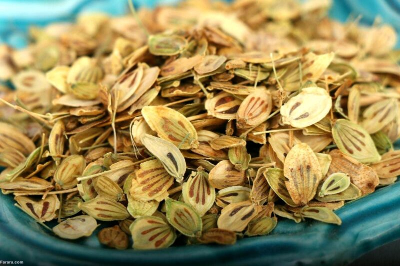 پودر گلپر