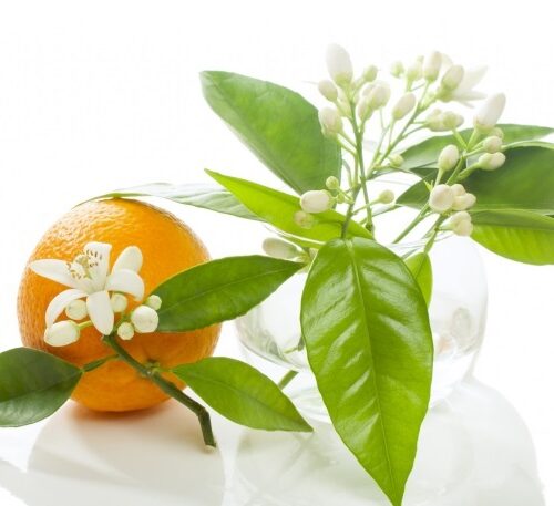 مربای بهارنارنج