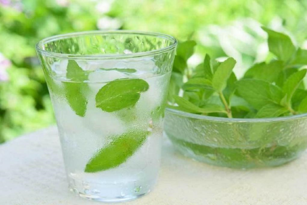 03 عرق نعنا | عرق نعناع درجه 1 میمند فارس
