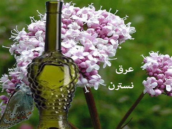 عرق نسترن درجه یک میمندفارس 7 عرق نسترن