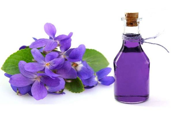 عرق گل گاوزبان یک میمند فارس 9 عرق گل گاوزبان