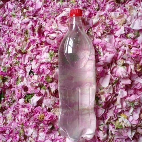 گلاب