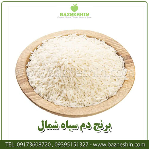 برنج-دم-سياه-شمال-ايران-بازنشين-مارکت