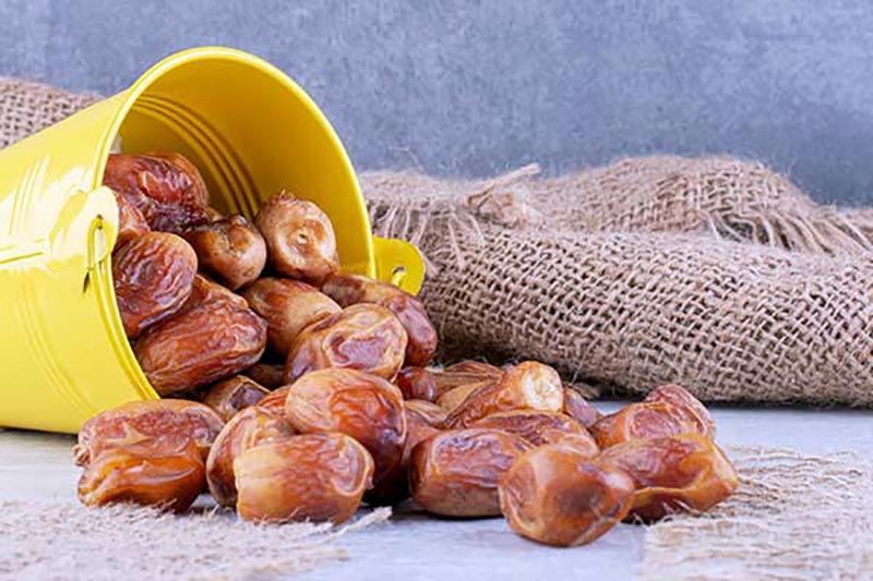 خرما زاهدی خشک درجه 1 7 خرما زاهدی خشک