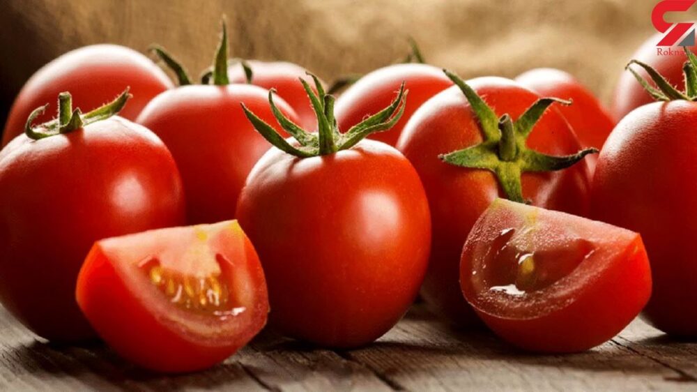 پودر گوجه فرنگی خشک شده 11 پودر گوجه خشک