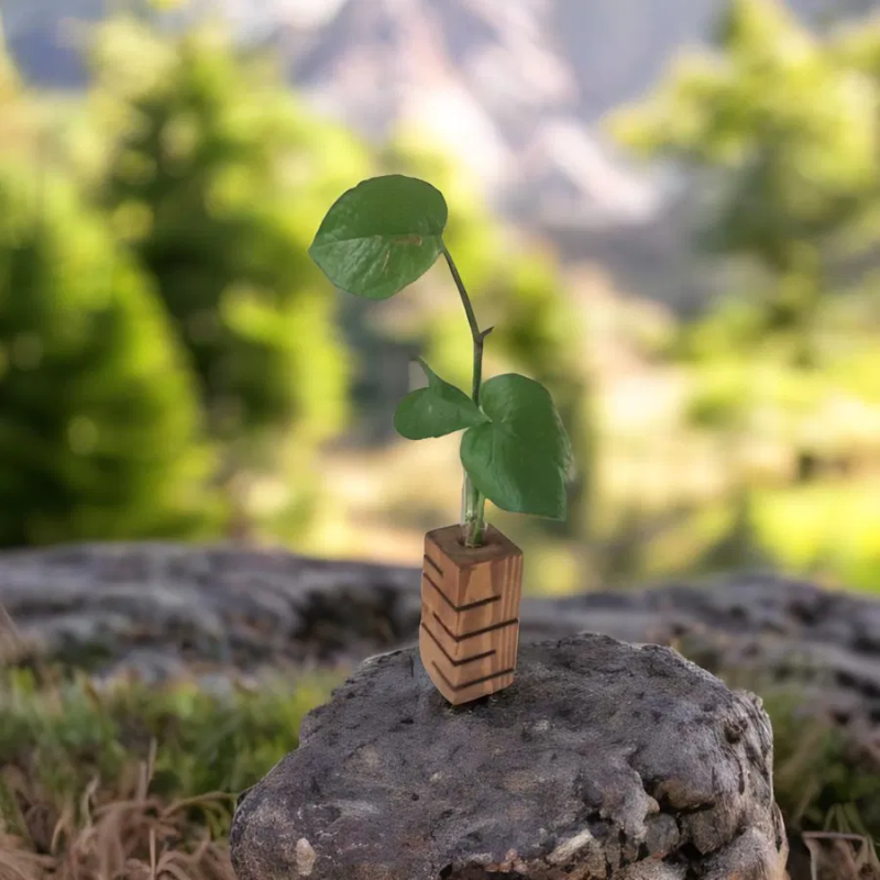 11 گلدان چوبی دستساز تزیینی درجه1 کلاسیک