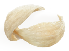 پنبه دانه