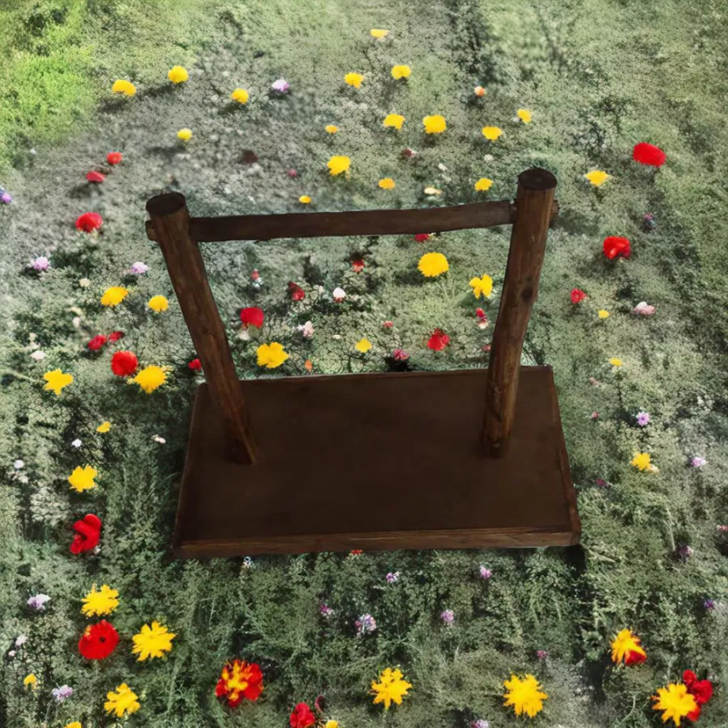 بارفیکس پرنده