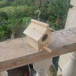 photo 2025 09 20 17 06 19 لانه پرنده-آشیان پرندگان- چوبی دست ساز34